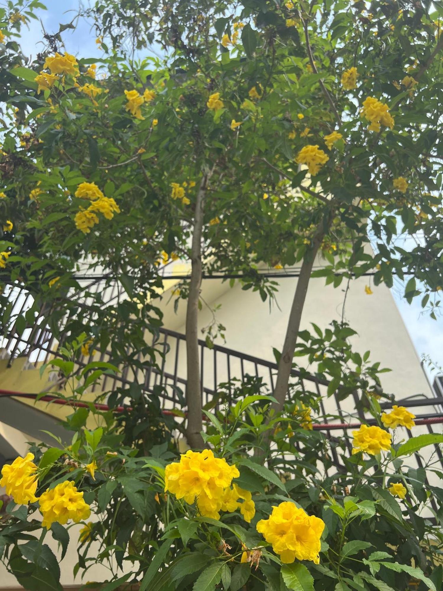 Hakuna Matata Homestay ماي تشاو المظهر الخارجي الصورة
