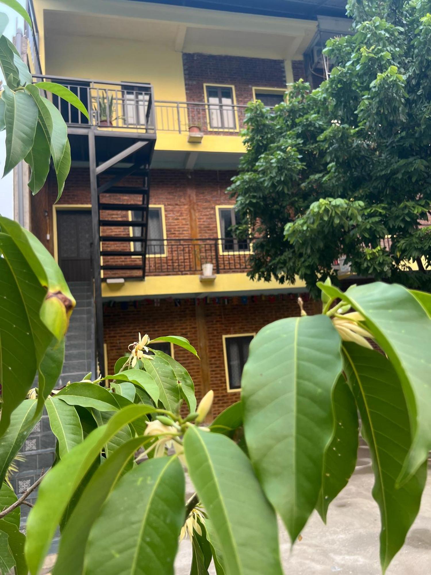 Hakuna Matata Homestay ماي تشاو المظهر الخارجي الصورة